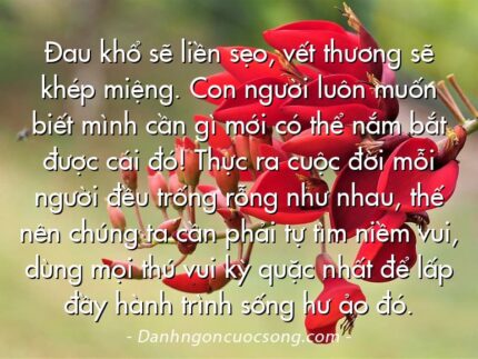 Đau khổ sẽ liền sẹo, vết thương sẽ khép miệng. Con người luôn muốn biết mình cần gì mới có thể nắm bắt được cái đó! Thực ra cuộc đời mỗi người đều trống rỗng như nhau, thế nên chúng ta cần phải tự tìm niềm vui, dùng mọi thú vui kỳ quặc nhất để lấp đầy hành trình sống hư ảo đó.