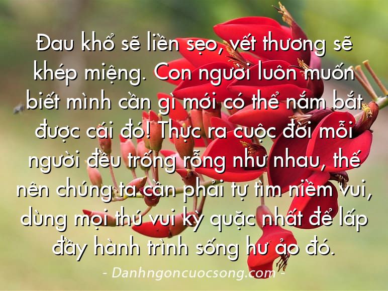 Đau khổ sẽ liền sẹo, vết thương sẽ khép miệng. Con người luôn muốn biết mình cần gì mới có thể nắm bắt được cái đó! Thực ra cuộc đời mỗi người đều trống rỗng như nhau, thế nên chúng ta cần phải tự tìm niềm vui, dùng mọi thú vui kỳ quặc nhất để lấp đầy hành trình sống hư ảo đó.