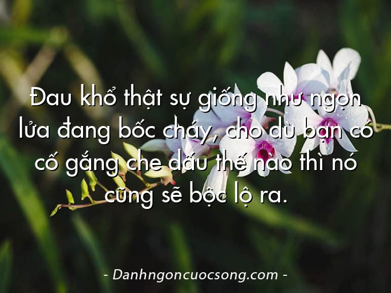 Đau khổ thật sự giống như ngọn lửa đang bốc cháy, cho dù bạn có cố gắng che dấu thế nào thì nó cũng sẽ bộc lộ ra.