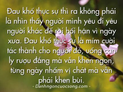 Đau khổ thực sự thì ra không phải là nhìn thấy người mình yêu đi yêu người khác để rồi hối hận vì ngày xưa. Đau khổ thực sự là mỉm cười tác thành cho người đó, uống cạn ly rượu đắng mà vẫn khen ngon, từng ngày nhấm vị chát mà vẫn phải khen bùi.