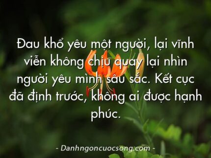 Đau khổ yêu một người, lại vĩnh viễn không chịu quay lại nhìn người yêu mình sâu sắc. Kết cục đã định trước, không ai được hạnh phúc.