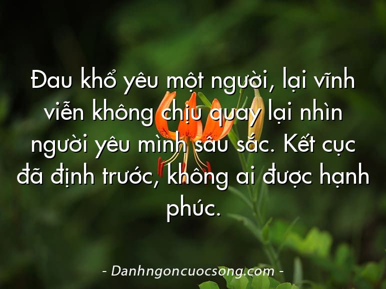 Đau khổ yêu một người, lại vĩnh viễn không chịu quay lại nhìn người yêu mình sâu sắc. Kết cục đã định trước, không ai được hạnh phúc.
