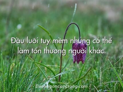 Đầu lưỡi tuy mềm nhưng có thể làm tổn thương người khác.