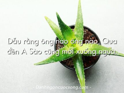 Dẫu rằng ông nảo ông nào, Qua đền A Sào cũng mời xuống ngựa.