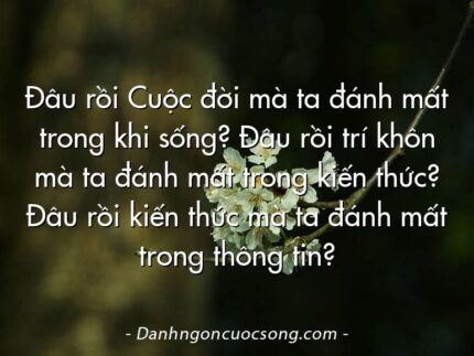 Đâu rồi Cuộc đời mà ta đánh mất trong khi sống? Đâu rồi trí khôn mà ta đánh mất trong kiến thức? Đâu rồi kiến thức mà ta đánh mất trong thông tin?