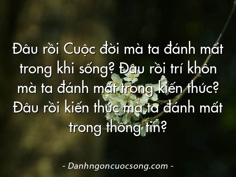 Đâu rồi Cuộc đời mà ta đánh mất trong khi sống? Đâu rồi trí khôn mà ta đánh mất trong kiến thức? Đâu rồi kiến thức mà ta đánh mất trong thông tin?