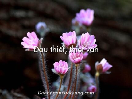 Đau thiết, thiệt van