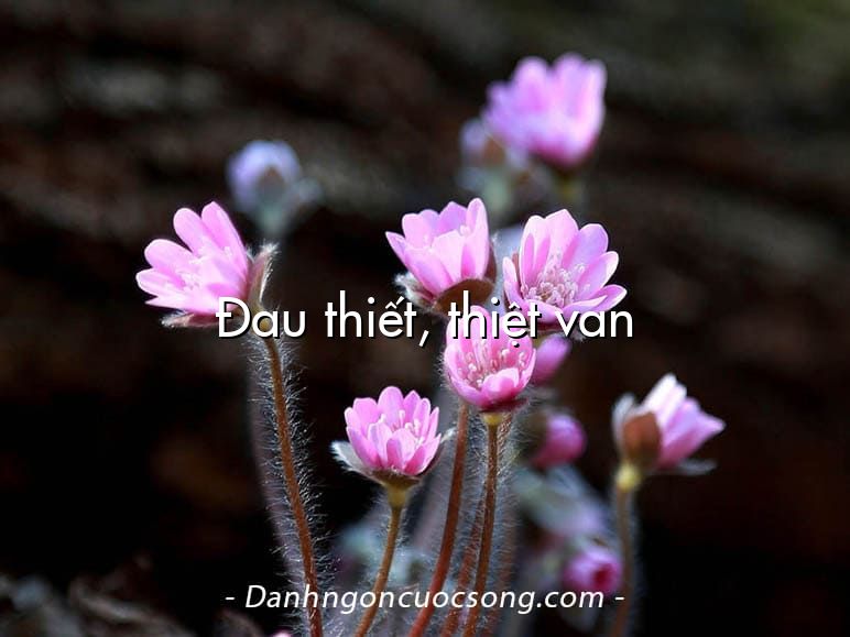 Đau thiết, thiệt van