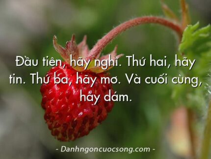 Đầu tiên, hãy nghĩ. Thứ hai, hãy tin. Thứ ba, hãy mơ. Và cuối cùng, hãy dám.