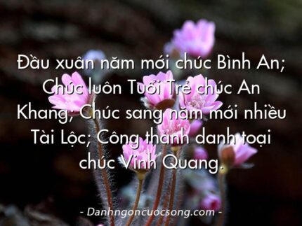 Đầu xuân năm mới chúc Bình An; Chúc luôn Tuổi Trẻ chúc An Khang; Chúc sang năm mới nhiều Tài Lộc; Công thành danh toại chúc Vinh Quang.
