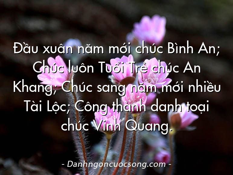Đầu xuân năm mới chúc Bình An; Chúc luôn Tuổi Trẻ chúc An Khang; Chúc sang năm mới nhiều Tài Lộc; Công thành danh toại chúc Vinh Quang.