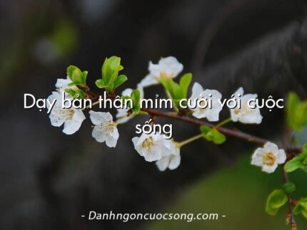 Dạy bản thân mỉm cười với cuộc sống