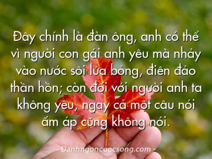 Đây chính là đàn ông, anh có thể vì người con gái anh yêu mà nhảy vào nước sôi lửa bỏng, điên đảo thần hồn; còn đối với người anh ta không yêu, ngay cả một câu nói ấm áp cũng không nói.