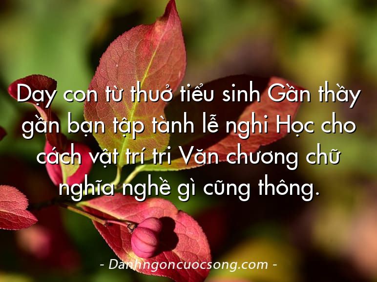 Dạy con từ thuở tiểu sinh Gần thầy gần bạn tập tành lễ nghi Học cho cách vật trí tri Văn chương chữ nghĩa nghề gì cũng thông.