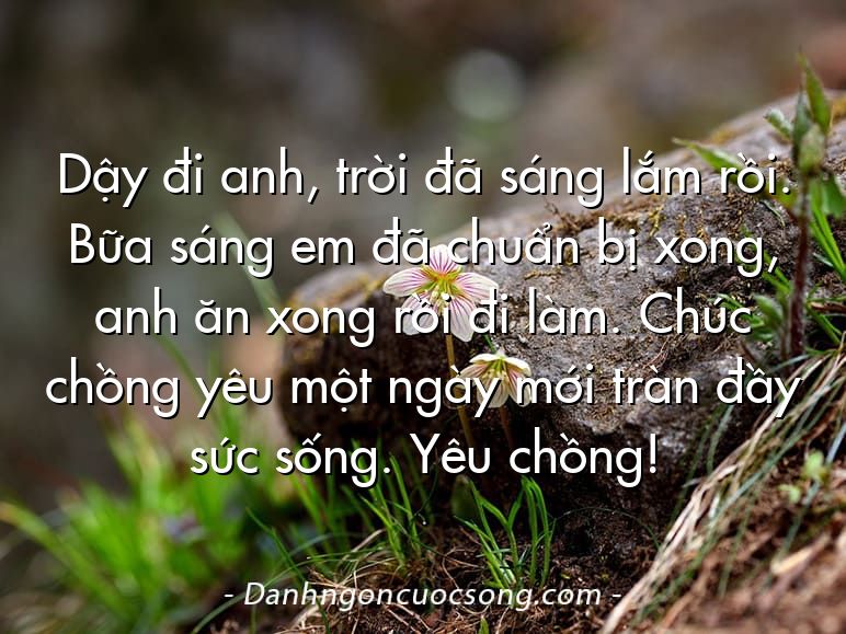 Dậy đi anh, trời đã sáng lắm rồi. Bữa sáng em đã chuẩn bị xong, anh ăn xong rồi đi làm. Chúc chồng yêu một ngày mới tràn đầy sức sống. Yêu chồng!