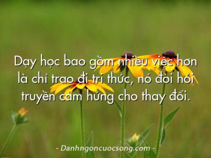 Dạy học bao gồm nhiều việc hơn là chỉ trao đi tri thức, nó đòi hỏi truyền cảm hứng cho thay đổi.