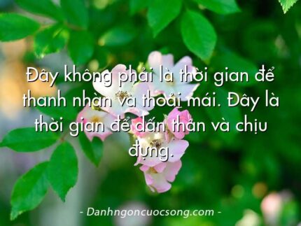 Đây không phải là thời gian để thanh nhàn và thoải mái. Đây là thời gian để dấn thân và chịu đựng.