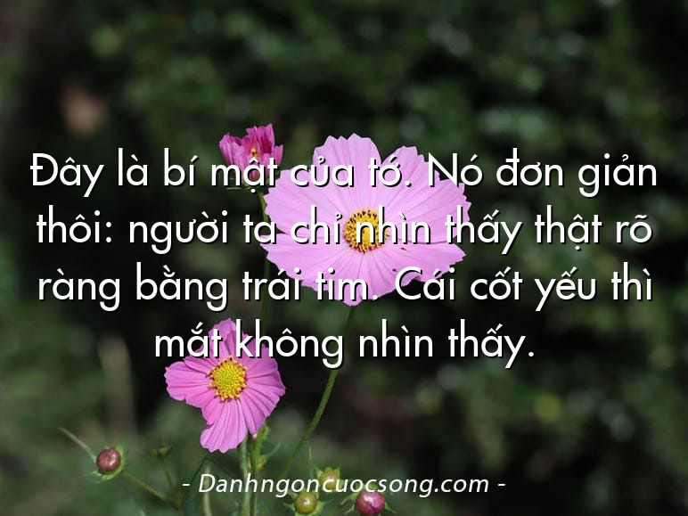 Đây là bí mật của tớ. Nó đơn giản thôi: người ta chỉ nhìn thấy thật rõ ràng bằng trái tim. Cái cốt yếu thì mắt không nhìn thấy.
