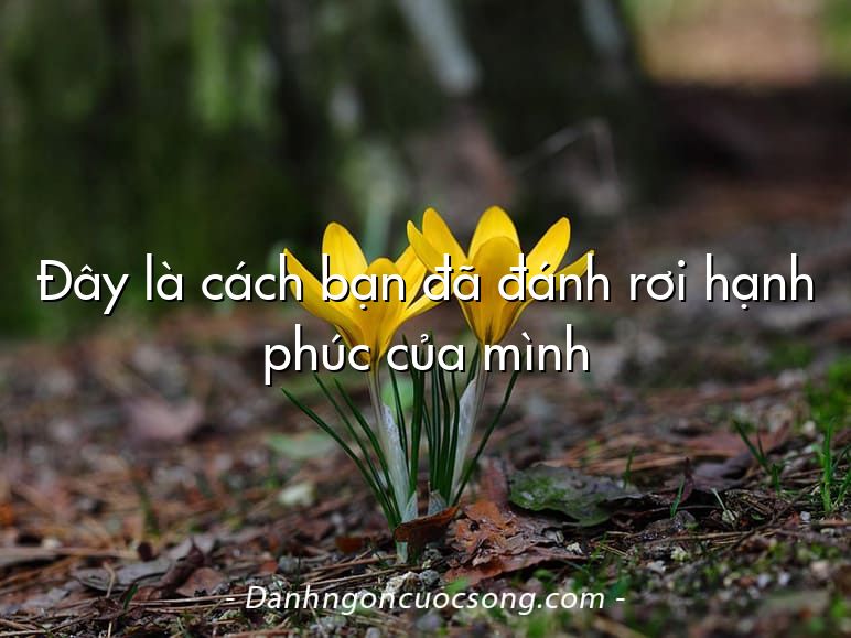 Đây là cách bạn đã đánh rơi hạnh phúc của mình