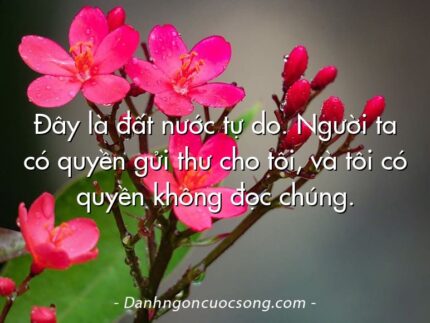 Đây là đất nước tự do. Người ta có quyền gửi thư cho tôi, và tôi có quyền không đọc chúng.