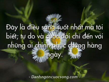 Đây là điều sáng suốt nhất mà tôi biết; tự do và cuộc đời chỉ đến với những ai chinh phục chúng hàng ngày.
