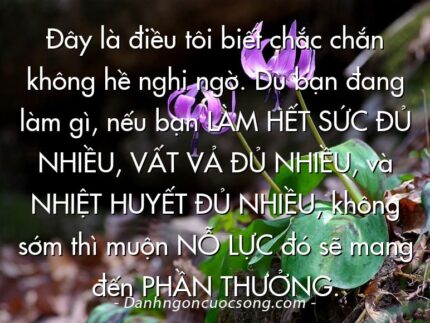 Đây là điều tôi biết chắc chắn không hề nghi ngờ. Dù bạn đang làm gì, nếu bạn LÀM HẾT SỨC ĐỦ NHIỀU, VẤT VẢ ĐỦ NHIỀU, và NHIỆT HUYẾT ĐỦ NHIỀU, không sớm thì muộn NỖ LỰC đó sẽ mang đến PHẦN THƯỞNG.