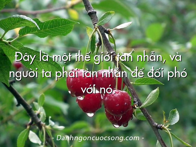 Đây là một thế giới tàn nhẫn, và người ta phải tàn nhẫn để đối phó với nó.