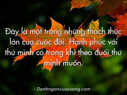 Đây là một trong những thách thức lớn của cuộc đời. Hạnh phúc với thứ mình có trong khi theo đuổi thứ mình muốn.