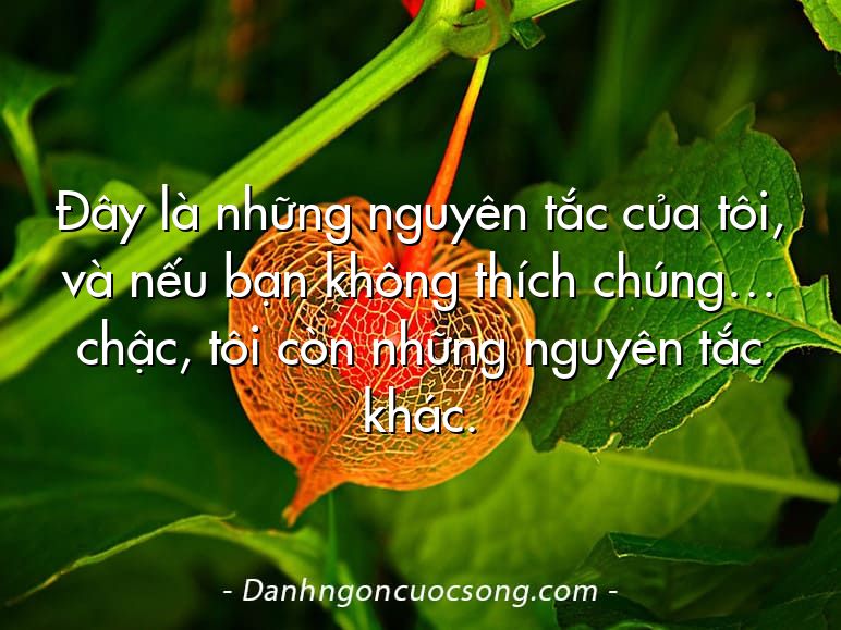 Đây là những nguyên tắc của tôi, và nếu bạn không thích chúng… chậc, tôi còn những nguyên tắc khác.