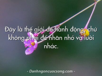 Đây là thế giới để hành động, chứ không phải để nhăn nhó và lười nhác.
