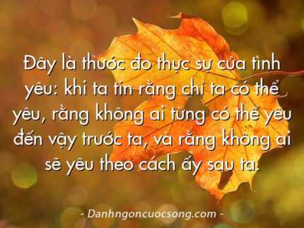 Đây là thước đo thực sự của tình yêu: khi ta tin rằng chỉ ta có thể yêu, rằng không ai từng có thể yêu đến vậy trước ta, và rằng không ai sẽ yêu theo cách ấy sau ta.