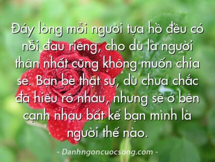 Đáy lòng mỗi người tựa hồ đều có nỗi đau riêng, cho dù là người thân nhất cũng không muốn chia sẻ. Bạn bè thật sự, dù chưa chắc đã hiểu rõ nhau, nhưng sẽ ở bên cạnh nhau bất kể bạn mình là người thế nào.