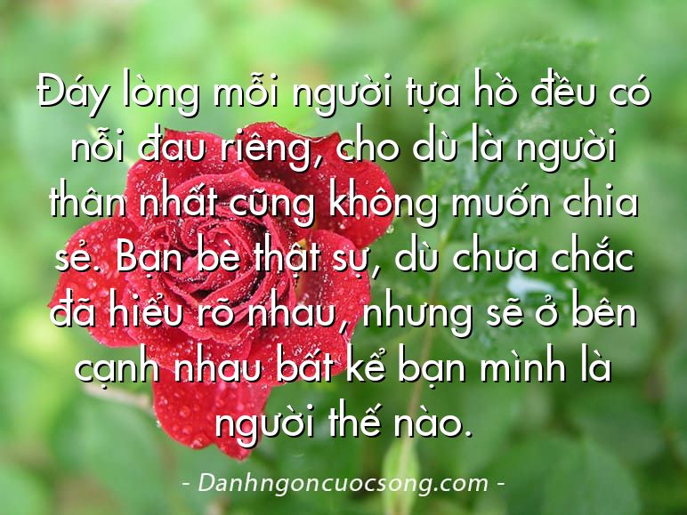 Đáy lòng mỗi người tựa hồ đều có nỗi đau riêng, cho dù là người thân nhất cũng không muốn chia sẻ. Bạn bè thật sự, dù chưa chắc đã hiểu rõ nhau, nhưng sẽ ở bên cạnh nhau bất kể bạn mình là người thế nào.