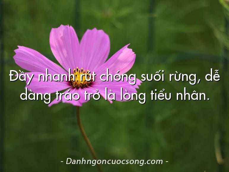 Đầy nhanh rút chóng suối rừng, dễ dàng tráo trở là lòng tiểu nhân.