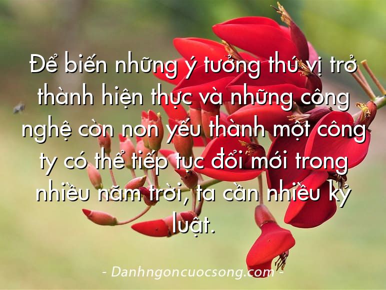 Để biến những ý tưởng thú vị trở thành hiện thực và những công nghệ còn non yếu thành một công ty có thể tiếp tục đổi mới trong nhiều năm trời, ta cần nhiều kỷ luật.