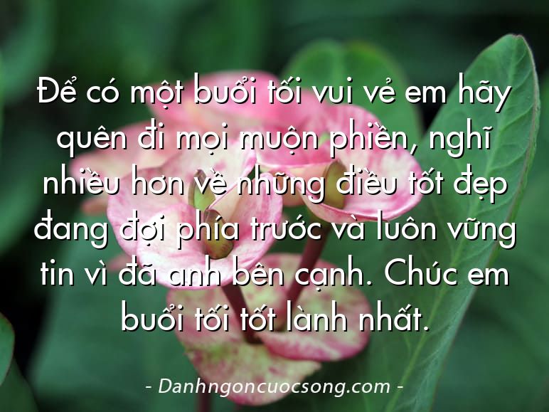 Để có một buổi tối vui vẻ em hãy quên đi mọi muộn phiền, nghĩ nhiều hơn về những điều tốt đẹp đang đợi phía trước và luôn vững tin vì đã anh bên cạnh. Chúc em buổi tối tốt lành nhất.