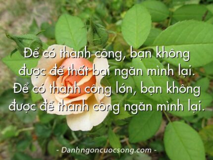 Để có thành công, bạn không được để thất bại ngăn mình lại. Để có thành công lớn, bạn không được để thành công ngăn mình lại.