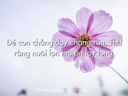 Đẻ con chẳng dạy chẳng răn, Thà rằng nuôi lợn mà ăn lấy lòng.