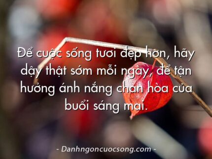 Để cuộc sống tươi đẹp hơn, hãy dậy thật sớm mỗi ngày, để tận hưởng ánh nắng chan hòa của buổi sáng mai.
