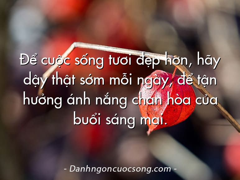 Để cuộc sống tươi đẹp hơn, hãy dậy thật sớm mỗi ngày, để tận hưởng ánh nắng chan hòa của buổi sáng mai.