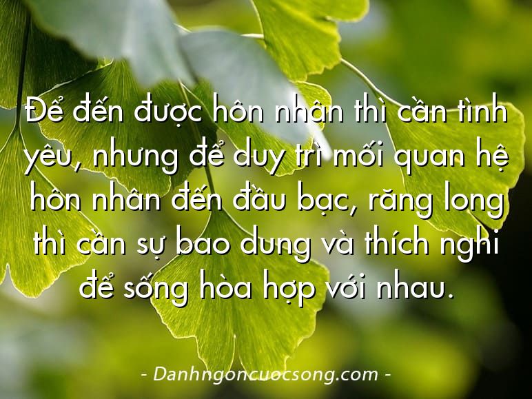 Để đến được hôn nhân thì cần tình yêu, nhưng để duy trì mối quan hệ hôn nhân đến đầu bạc, răng long thì cần sự bao dung và thích nghi để sống hòa hợp với nhau.