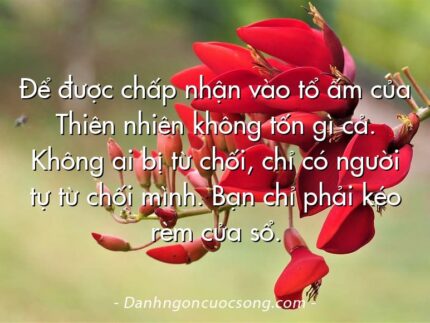 Để được chấp nhận vào tổ ấm của Thiên nhiên không tốn gì cả. Không ai bị từ chối, chỉ có người tự từ chối mình. Bạn chỉ phải kéo rèm cửa sổ.