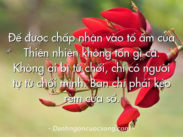 Để được chấp nhận vào tổ ấm của Thiên nhiên không tốn gì cả. Không ai bị từ chối, chỉ có người tự từ chối mình. Bạn chỉ phải kéo rèm cửa sổ.