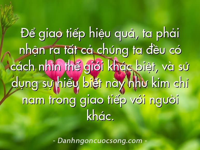 Để giao tiếp hiệu quả, ta phải nhận ra tất cả chúng ta đều có cách nhìn thế giới khác biệt, và sử dụng sự hiểu biết này như kim chỉ nam trong giao tiếp với người khác.