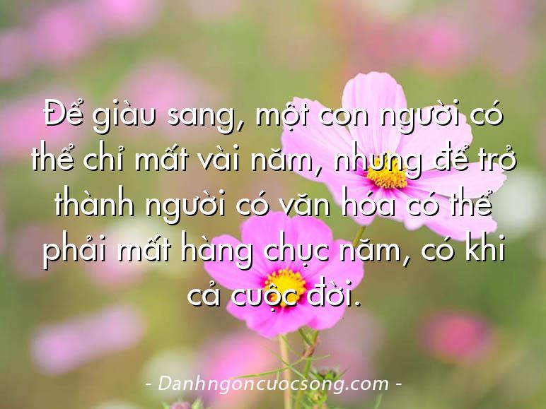 Để giàu sang, một con người có thể chỉ mất vài năm, nhưng để trở thành người có văn hóa có thể phải mất hàng chục năm, có khi cả cuộc đời.