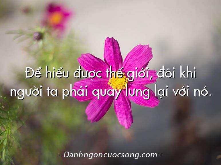 Để hiểu được thế giới, đôi khi người ta phải quay lưng lại với nó.