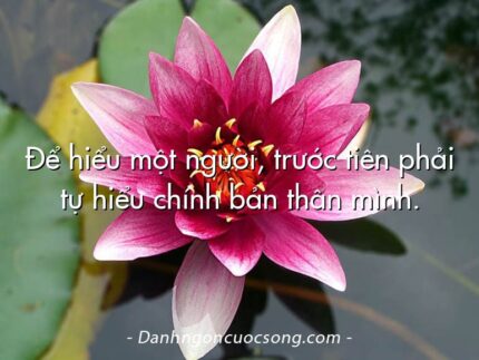 Để hiểu một người, trước tiên phải tự hiểu chính bản thân mình.