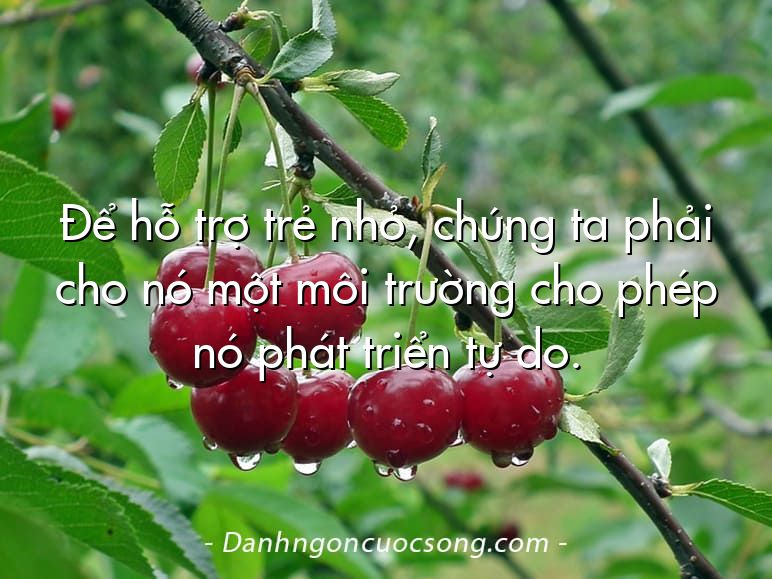 Để hỗ trợ trẻ nhỏ, chúng ta phải cho nó một môi trường cho phép nó phát triển tự do.