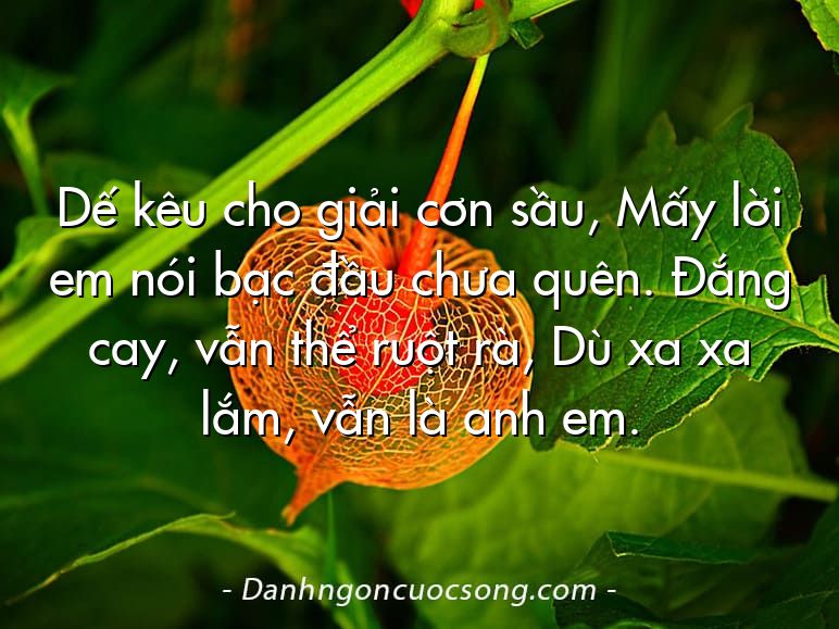 Dế kêu cho giải cơn sầu, Mấy lời em nói bạc đầu chưa quên. Đắng cay, vẫn thể ruột rà, Dù xa xa lắm, vẫn là anh em.