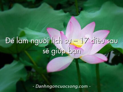 Để làm người lịch sự – 17 điều sau sẽ giúp bạn